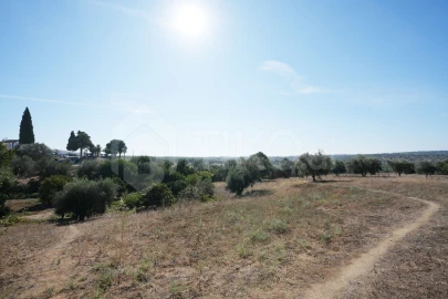 Quinta T5 para Venda em Torrão