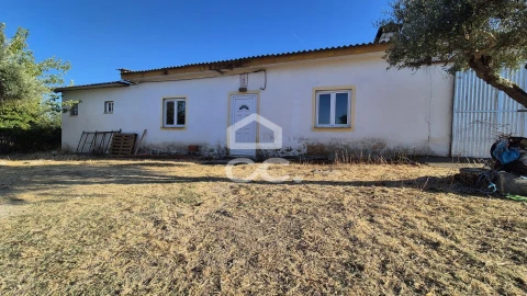 Quinta para Venda em Alter do Chão