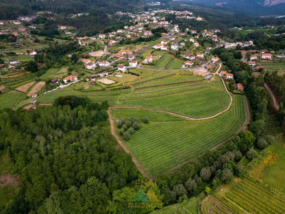 Quinta T3 para Venda em Arcozelo Foto 2