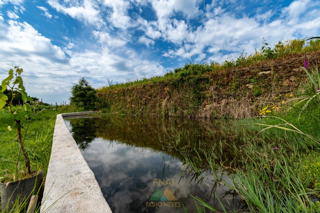 Quinta T3 para Venda em Arcozelo Foto 57