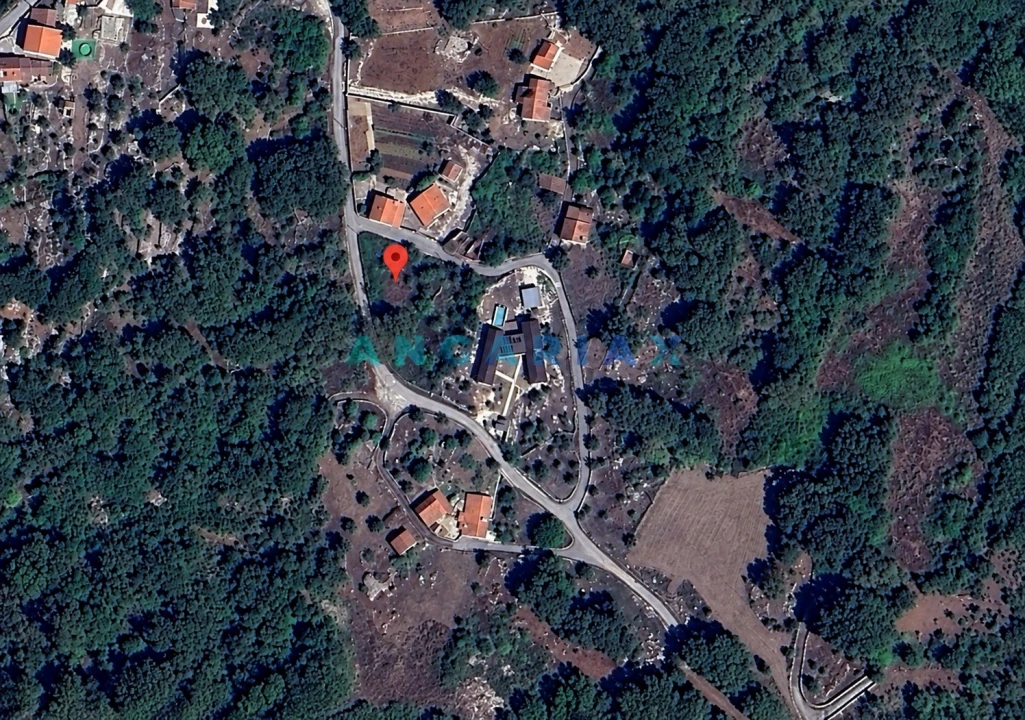 Terreno para Venda em Alvados e Alcaria Foto 4