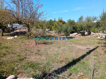 Terreno para Venda em Alvados e Alcaria