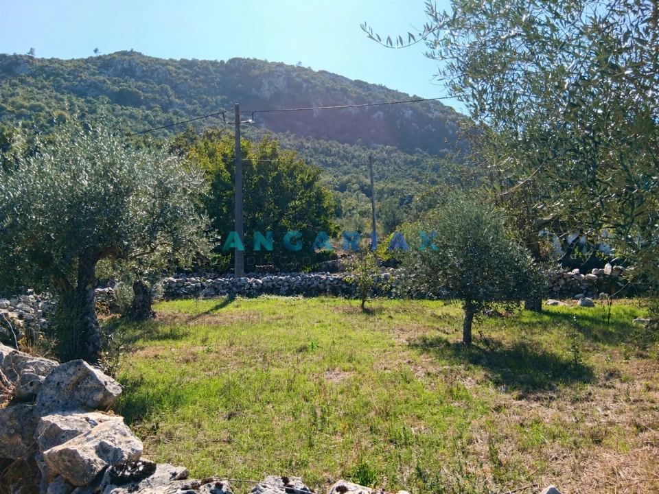 Terreno para Venda em Alvados e Alcaria Foto 1