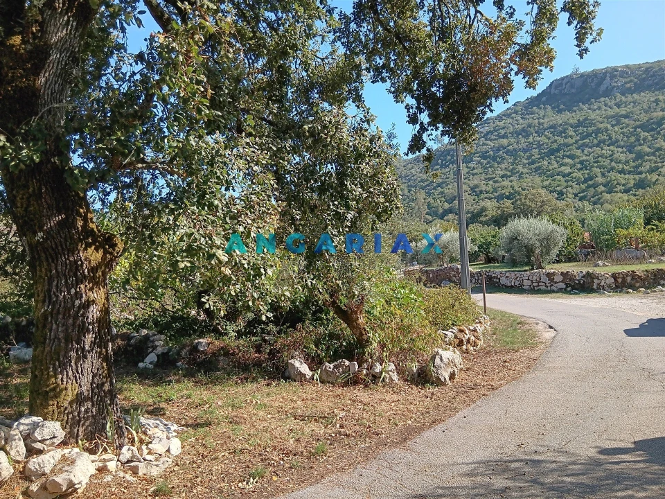 Terreno para Venda em Alvados e Alcaria Foto 3