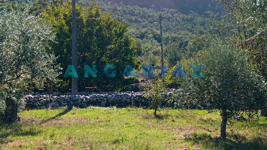 Terreno para Venda em Alvados e Alcaria