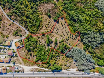 Terreno Agricola ou Rústico para Venda em Mangualde, Mesquitela e Cunha Alta