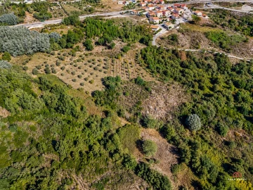 Terreno Agricola ou Rústico para Venda em Mangualde, Mesquitela e Cunha Alta