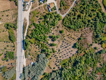 Terreno Agricola ou Rústico para Venda em Mangualde, Mesquitela e Cunha Alta