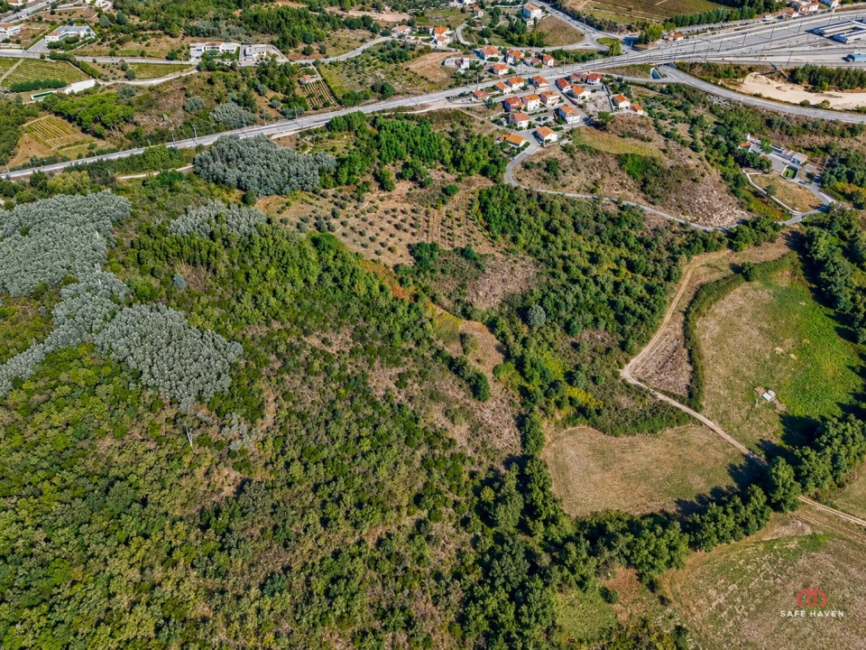 Terreno Agricola ou Rústico para Venda em Mangualde, Mesquitela e Cunha Alta Foto 4