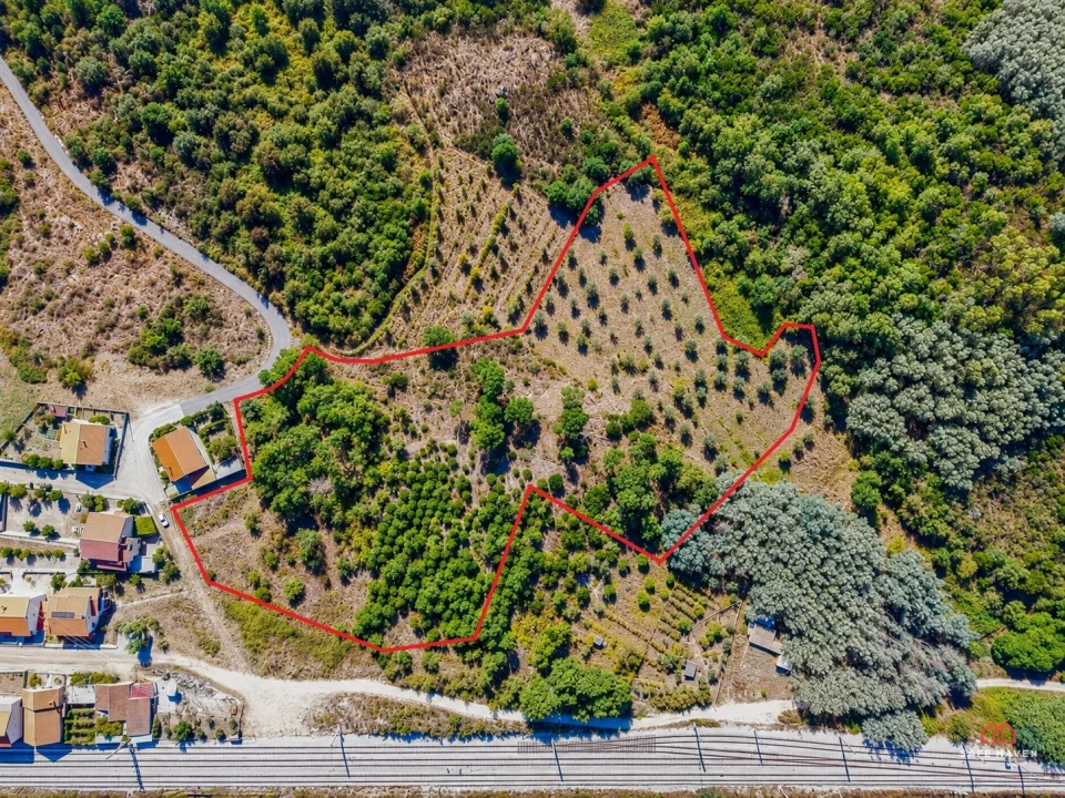Terreno Agricola ou Rústico para Venda em Mangualde, Mesquitela e Cunha Alta Foto 1