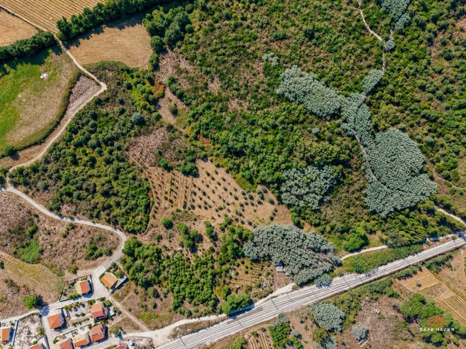 Terreno Agricola ou Rústico para Venda em Mangualde, Mesquitela e Cunha Alta Foto 5