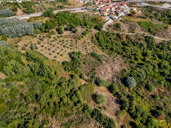Terreno Agricola ou Rústico para Venda em Mangualde, Mesquitela e Cunha Alta Foto 3