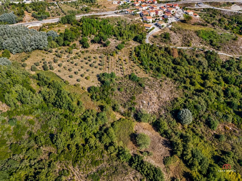 Terreno Agricola ou Rústico para Venda em Mangualde, Mesquitela e Cunha Alta Foto 3