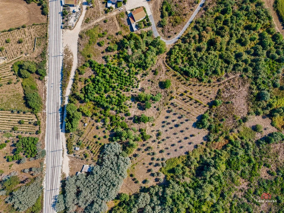 Terreno Agricola ou Rústico para Venda em Mangualde, Mesquitela e Cunha Alta Foto 2