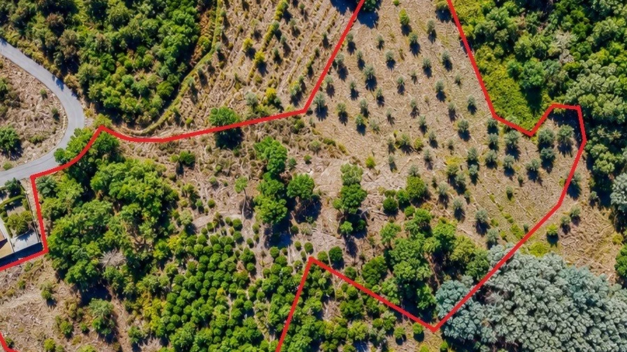 Terreno Agricola ou Rústico para Venda em Mangualde, Mesquitela e Cunha Alta