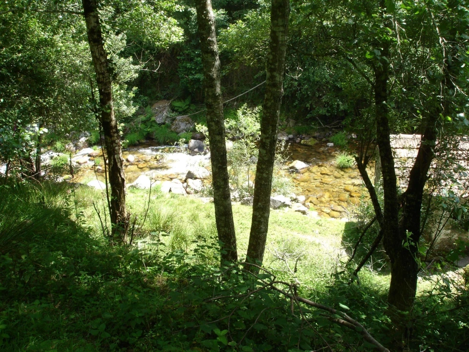 Quinta T0 para Venda em Cinfães Foto 3