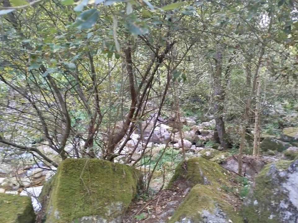 Quinta T0 para Venda em Cinfães Foto 7