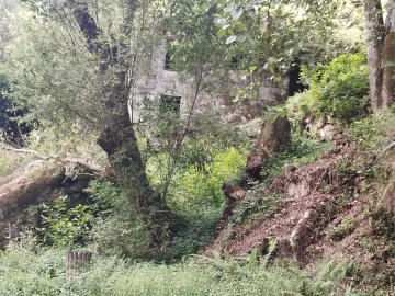 Quinta T0 para Venda em Cinfães