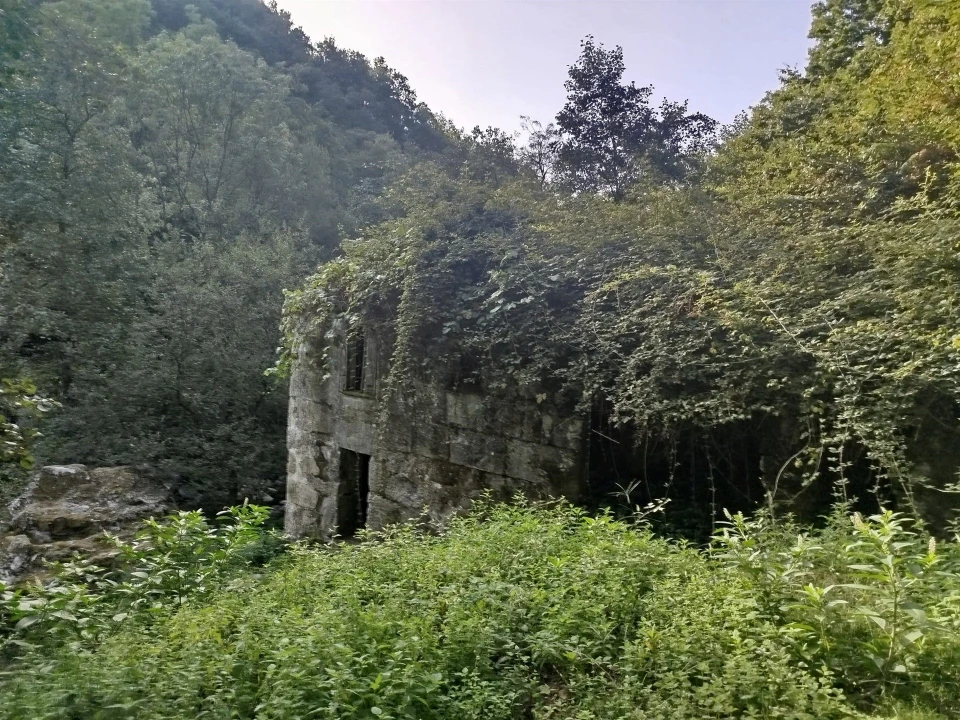 Quinta T0 para Venda em Cinfães Foto 1