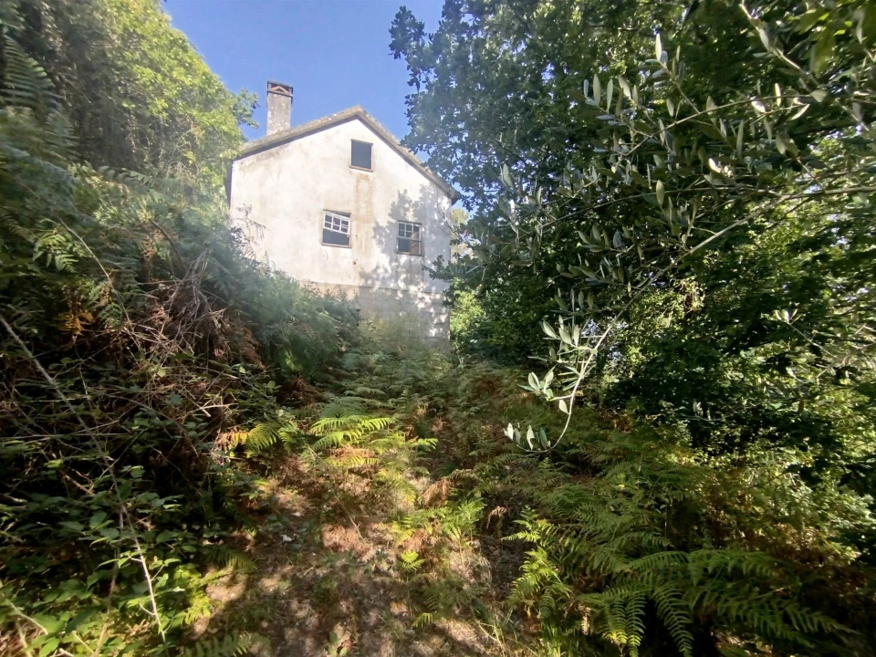 Quinta T0 para Venda em Cinfães Foto 5