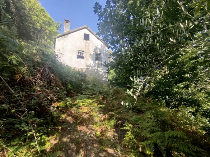 Quinta T0 para Venda em Cinfães Foto 5