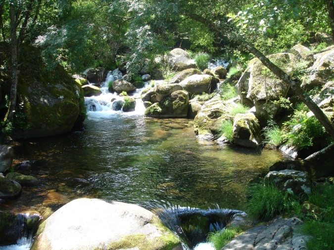 Quinta T0 para Venda em Cinfães Foto 2