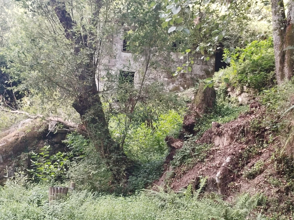Quinta T0 para Venda em Cinfães Foto 9