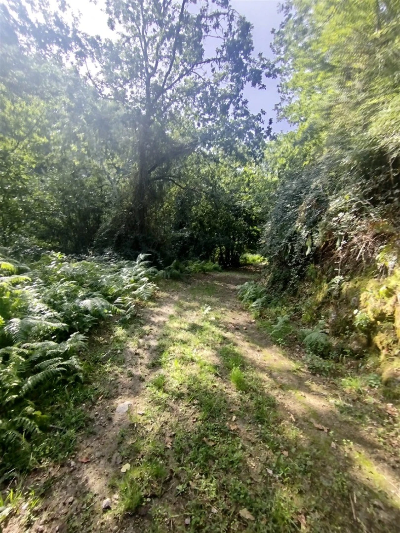 Quinta T0 para Venda em Cinfães Foto 8
