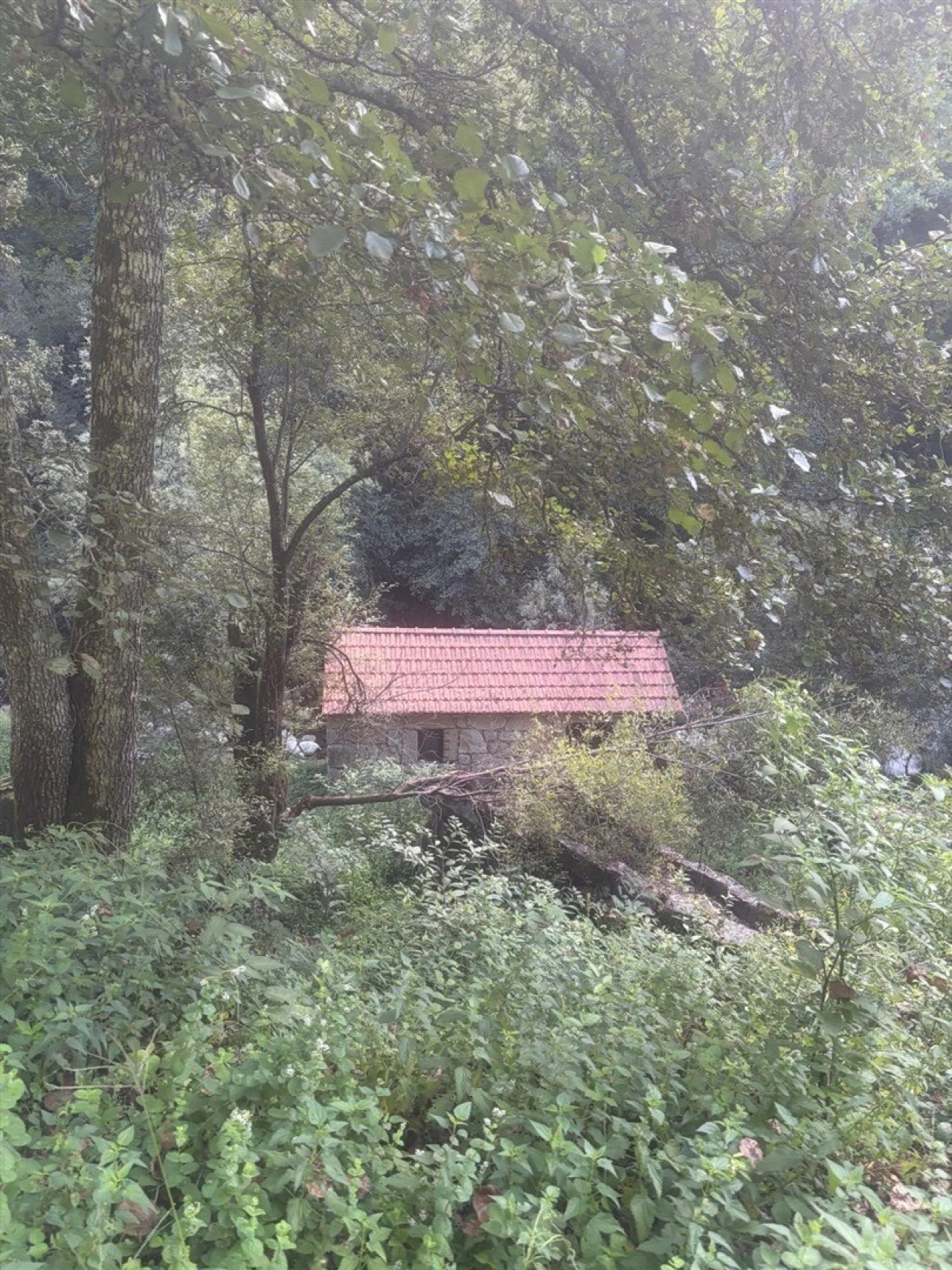 Quinta T0 para Venda em Cinfães Foto 11