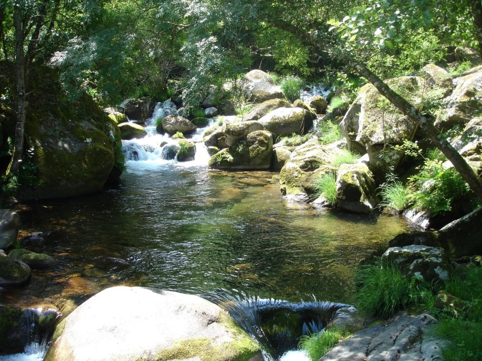 Quinta T0 para Venda em Cinfães Foto 2