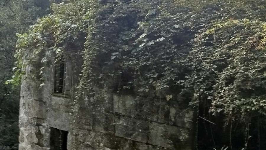 Quinta T0 para Venda em Cinfães