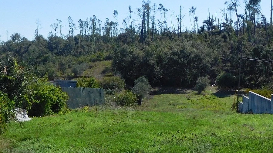 Terreno para Venda em Caranguejeira