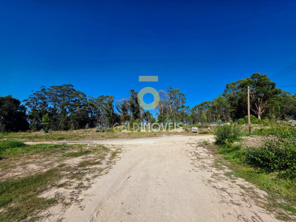 Terreno para Venda em Duas Igrejas Foto 4