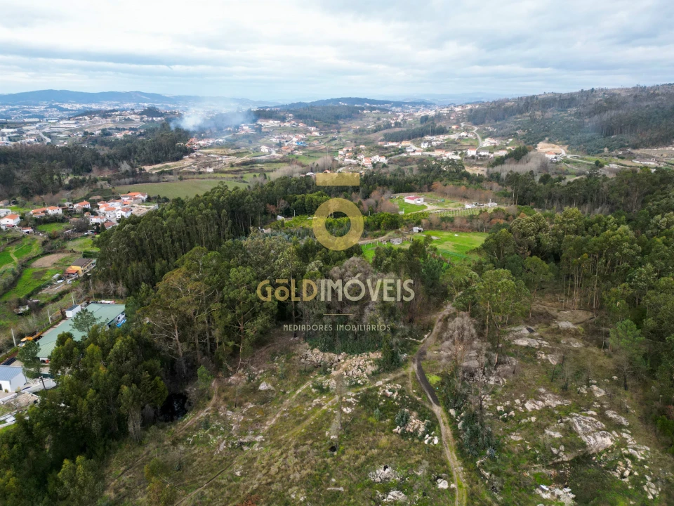 Terreno para Venda em Duas Igrejas Foto 10