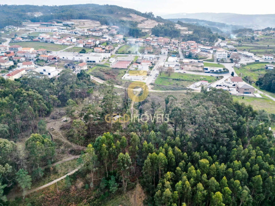 Terreno para Venda em Duas Igrejas Foto 12