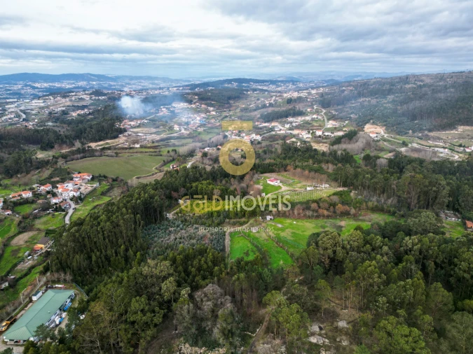 Terreno para Venda em Duas Igrejas Foto 11