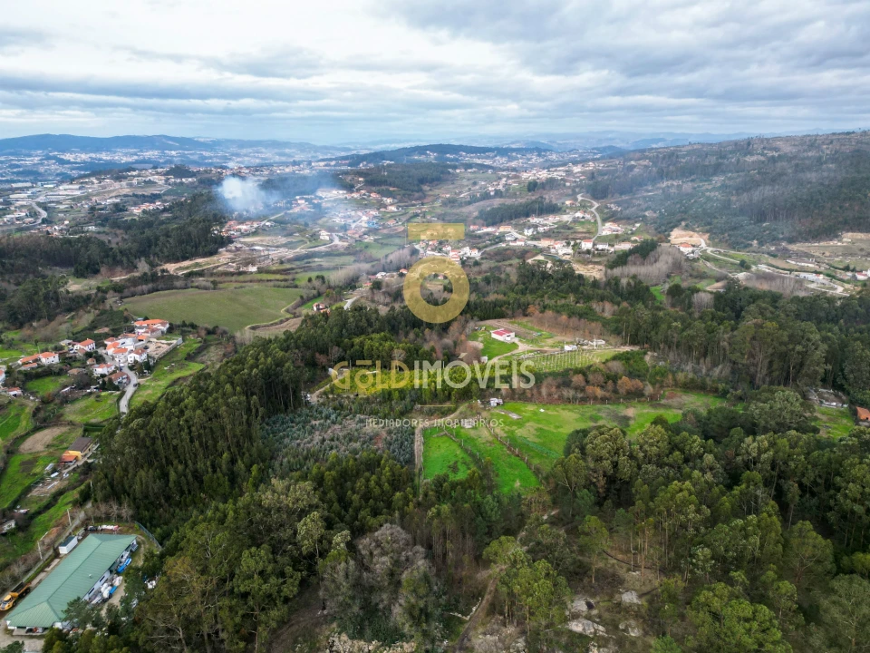 Terreno para Venda em Duas Igrejas Foto 11