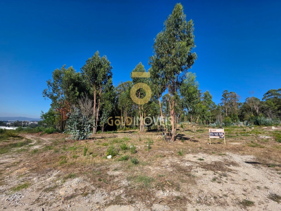 Terreno para Venda em Duas Igrejas Foto 2