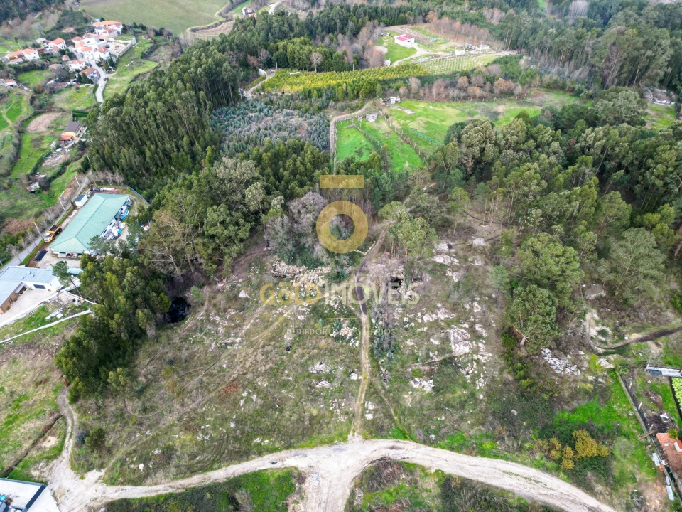 Terreno para Venda em Duas Igrejas Foto 9
