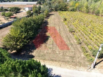 Terreno Agricola ou Rústico para Venda em Tabua
