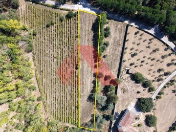 Terreno Agricola ou Rústico para Venda em Tabua