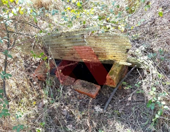 Terreno Agricola ou Rústico para Venda em Tabua