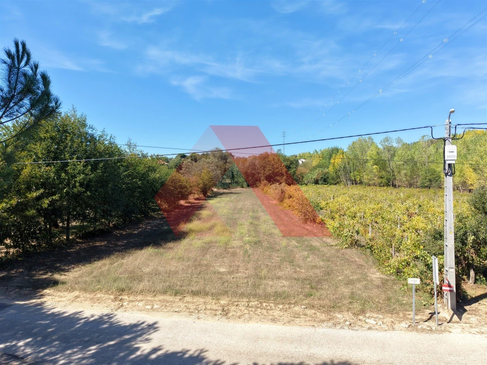 Terreno Agricola ou Rústico para Venda em Tabua Foto 1