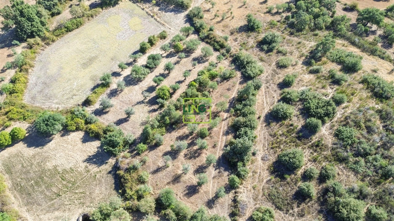 Quinta T3 para Venda em Vale de Prazeres e Mata da Rainha Foto 72