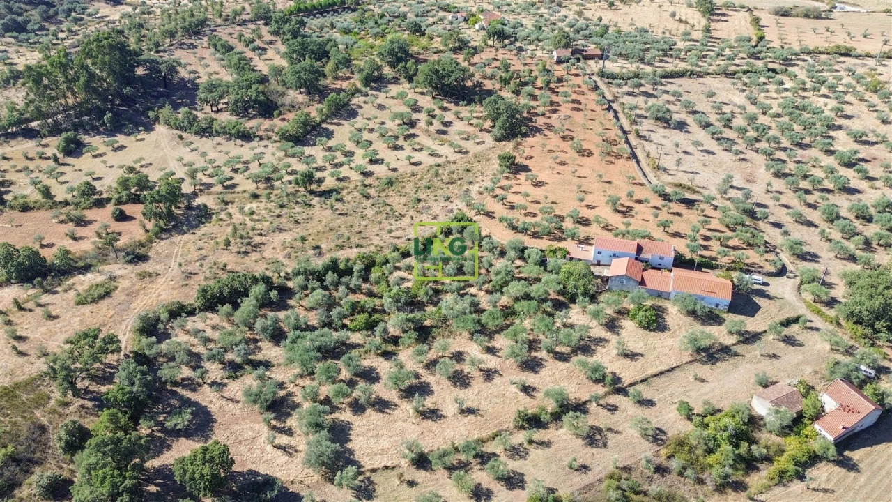 Quinta T3 para Venda em Vale de Prazeres e Mata da Rainha Foto 89