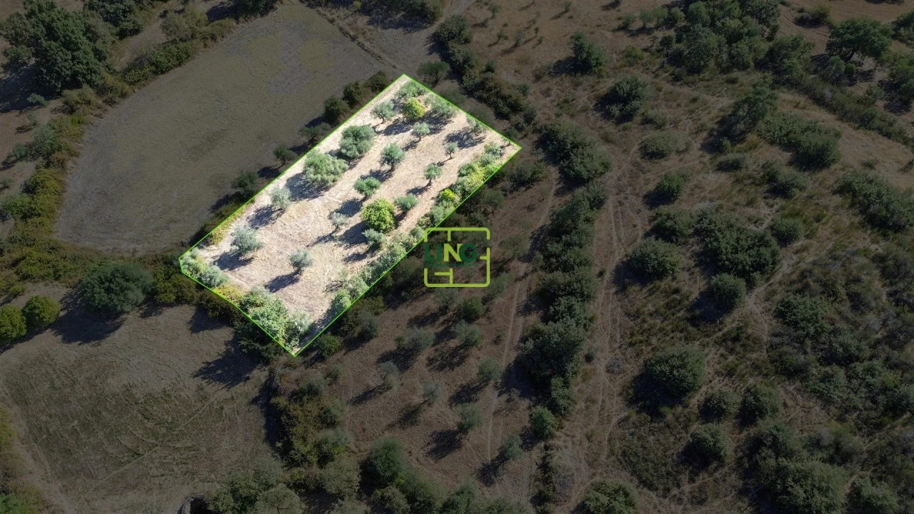 Quinta T3 para Venda em Vale de Prazeres e Mata da Rainha Foto 73