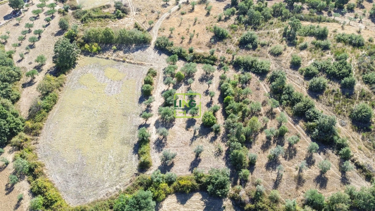 Quinta T3 para Venda em Vale de Prazeres e Mata da Rainha Foto 74