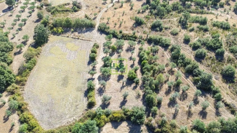 Quinta T3 para Venda em Vale de Prazeres e Mata da Rainha
