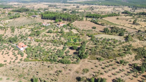 Quinta T3 para Venda em Vale de Prazeres e Mata da Rainha
