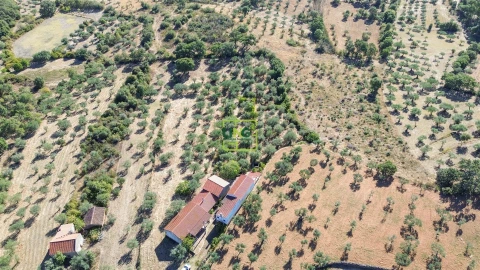 Quinta T3 para Venda em Vale de Prazeres e Mata da Rainha